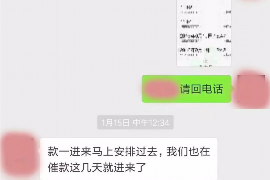 博罗如何避免债务纠纷？专业追讨公司教您应对之策